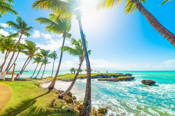 Location de voiture en Guadeloupe : les erreurs à éviter lors de la réservation