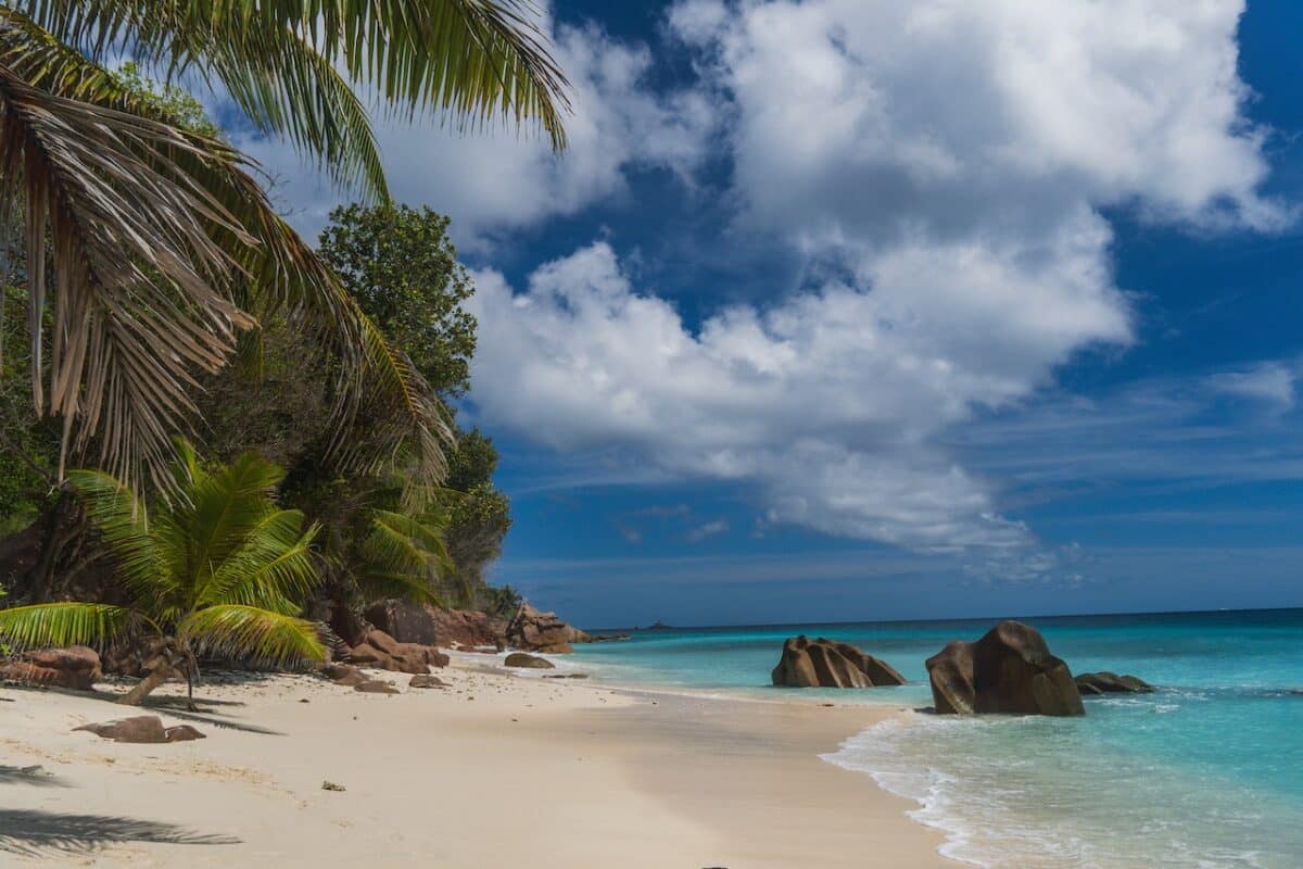 Explorer les Seychelles : entre détente et aventures exotiques