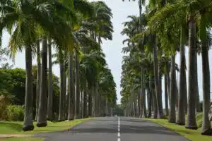 Découvrir la Guadeloupe grâce à la location de voiture