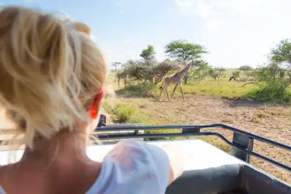 Pourquoi faire du safari en Tanzanie ?
