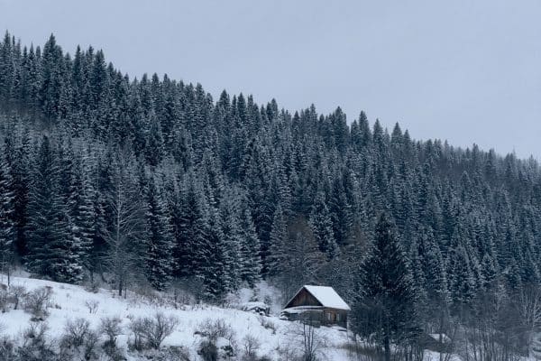 Vacances au ski aux Saisies