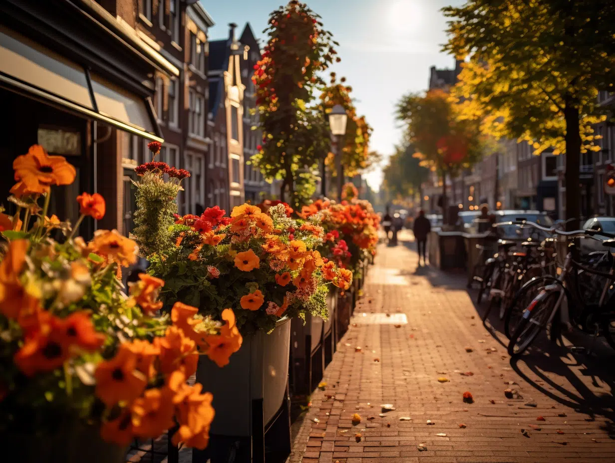 Découvrir Amsterdam : meilleurs quartiers pour séjourner et visiter