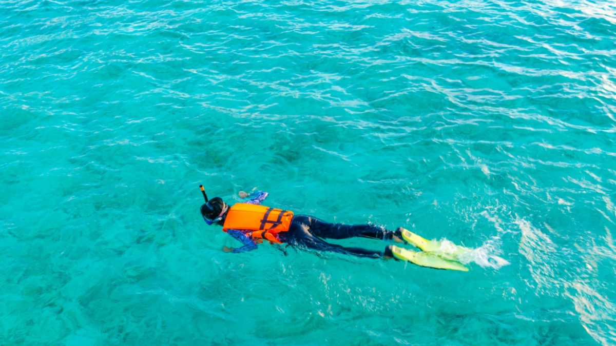 Comment choisir une croisière en Polynésie pour vivre sa passion de la plongée et du snorkeling ?