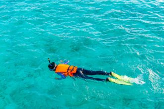 Comment choisir une croisière en Polynésie pour vivre sa passion de la plongée et du snorkeling ?