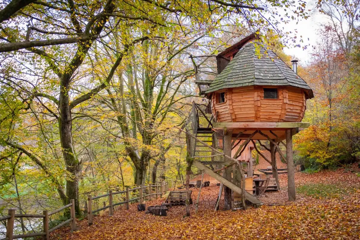 cabane dans les bois
